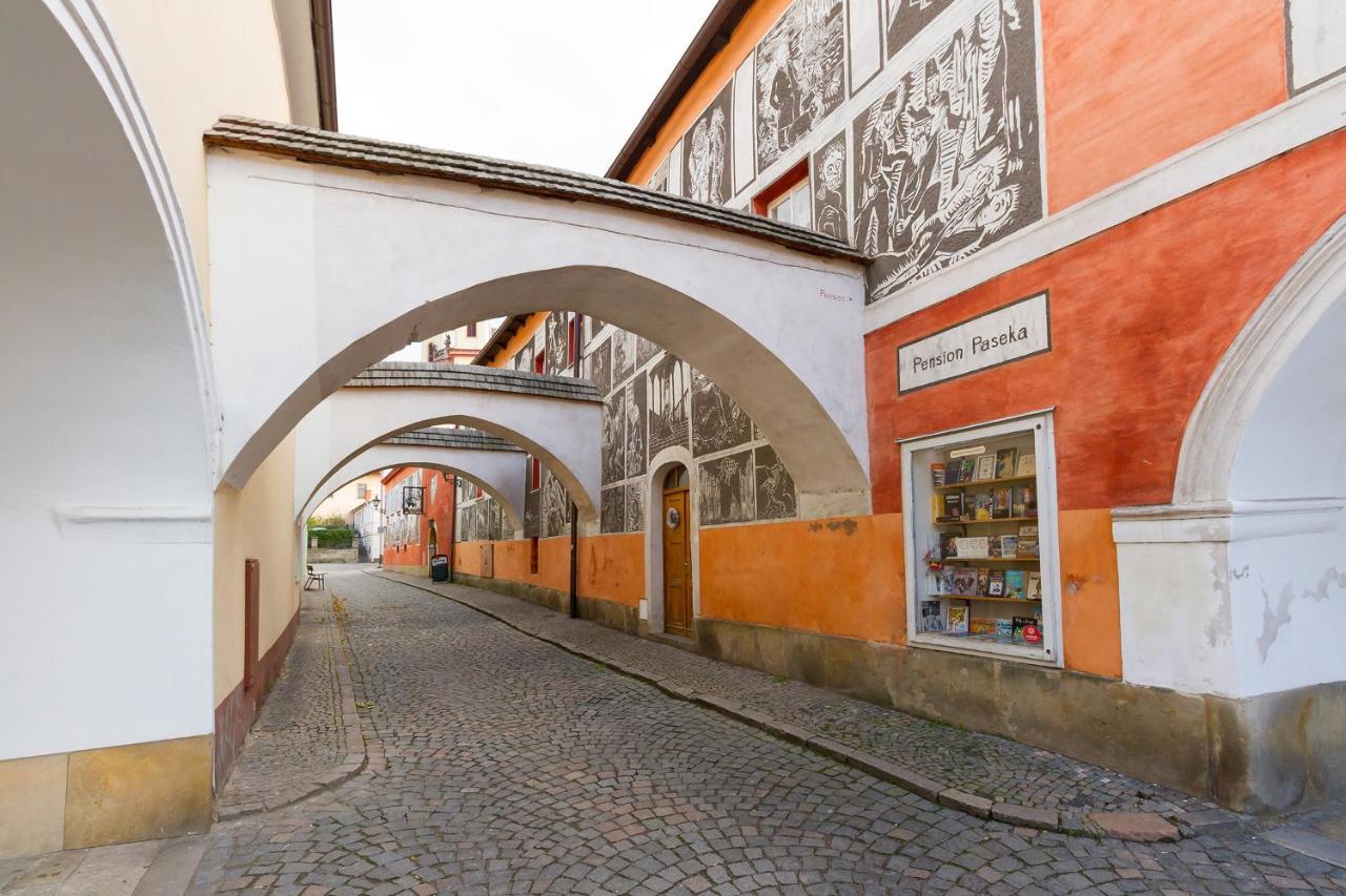 Guest house Paseka Litomysl